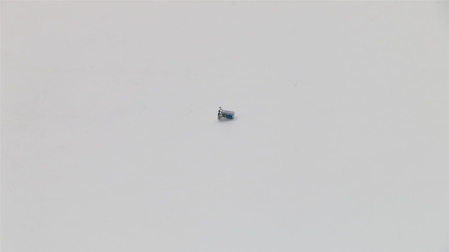 Lenovo 5S10Q09604 ScrewL80Y7 C Cover toD CoverSilver