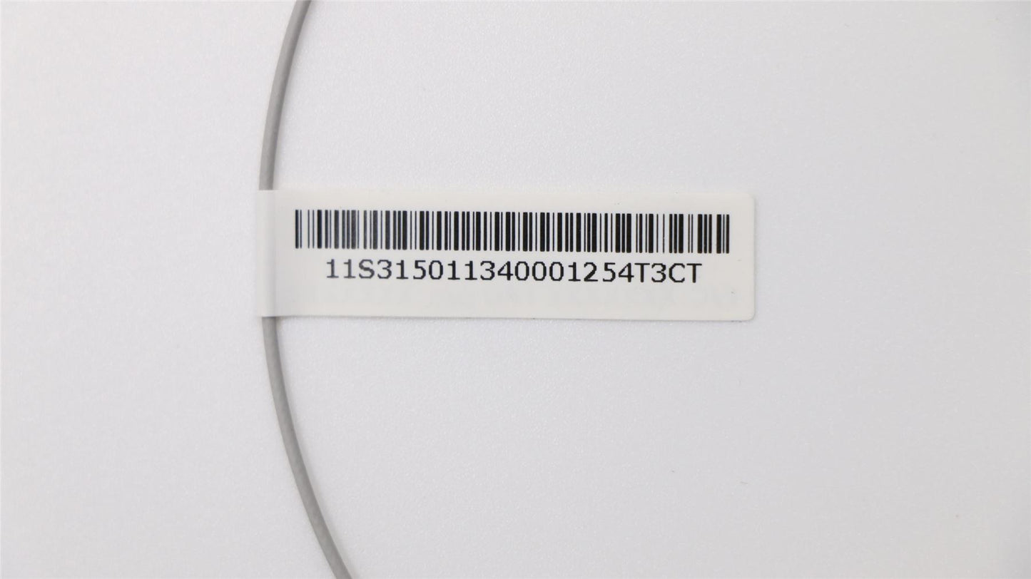 Lenovo LS 400mm Antenna_Gray_Roatan 31501134