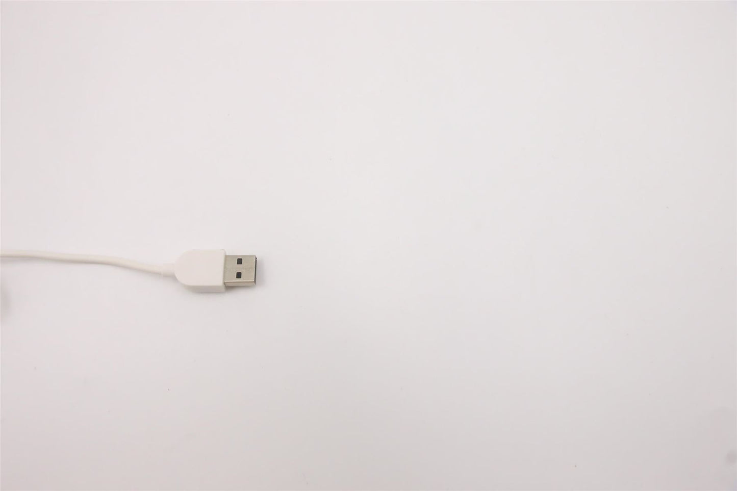 Lenovo USB G2 WHT_US 5D50U84482