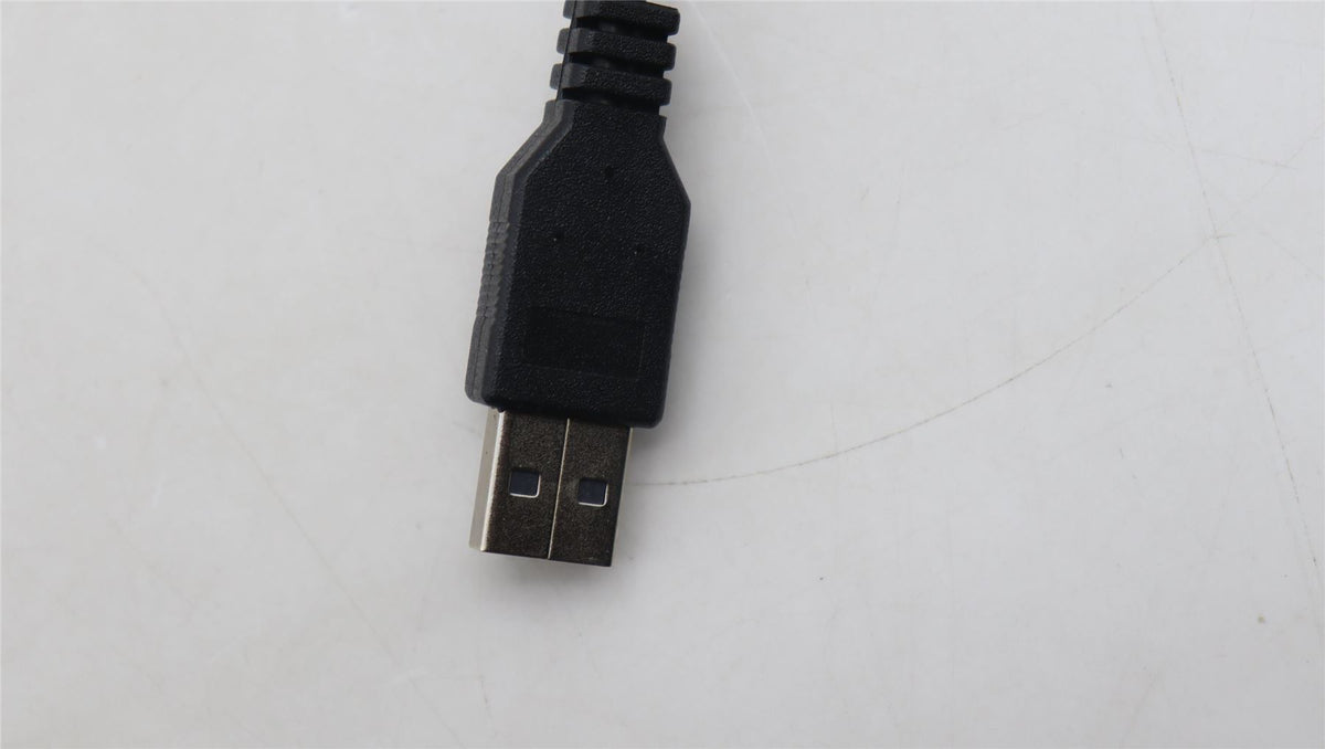 Lenovo DT_KYB Primax Chrome USB KB_Black Eng US English Keyboard 5D51J61959