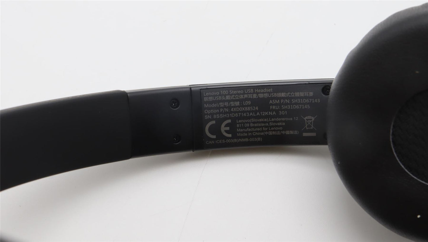 Lenovo HEADSET FRU_100 Stereo USB HS RTK 5H31D67145