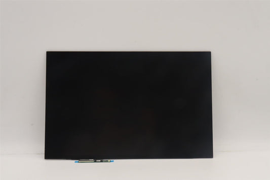 Lenovo LCD Module L82U9 5D10S39900