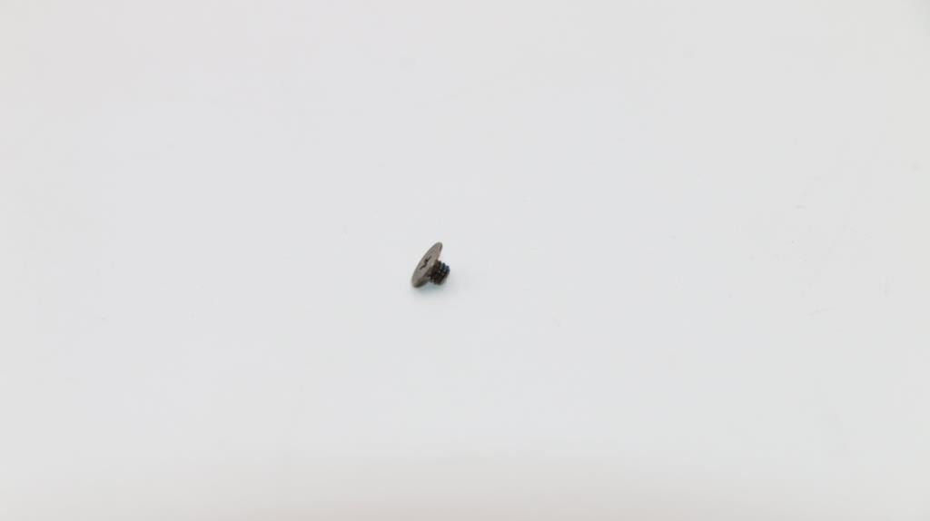 Lenovo SCREW Screw L 80MK 2.0D 4.5D 0.3T 5S10K48466