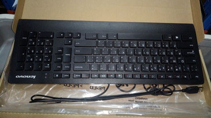 Lenovo Liteon SK8821 (SA)NewF5 USB KB Win8 Keyboard 25216338