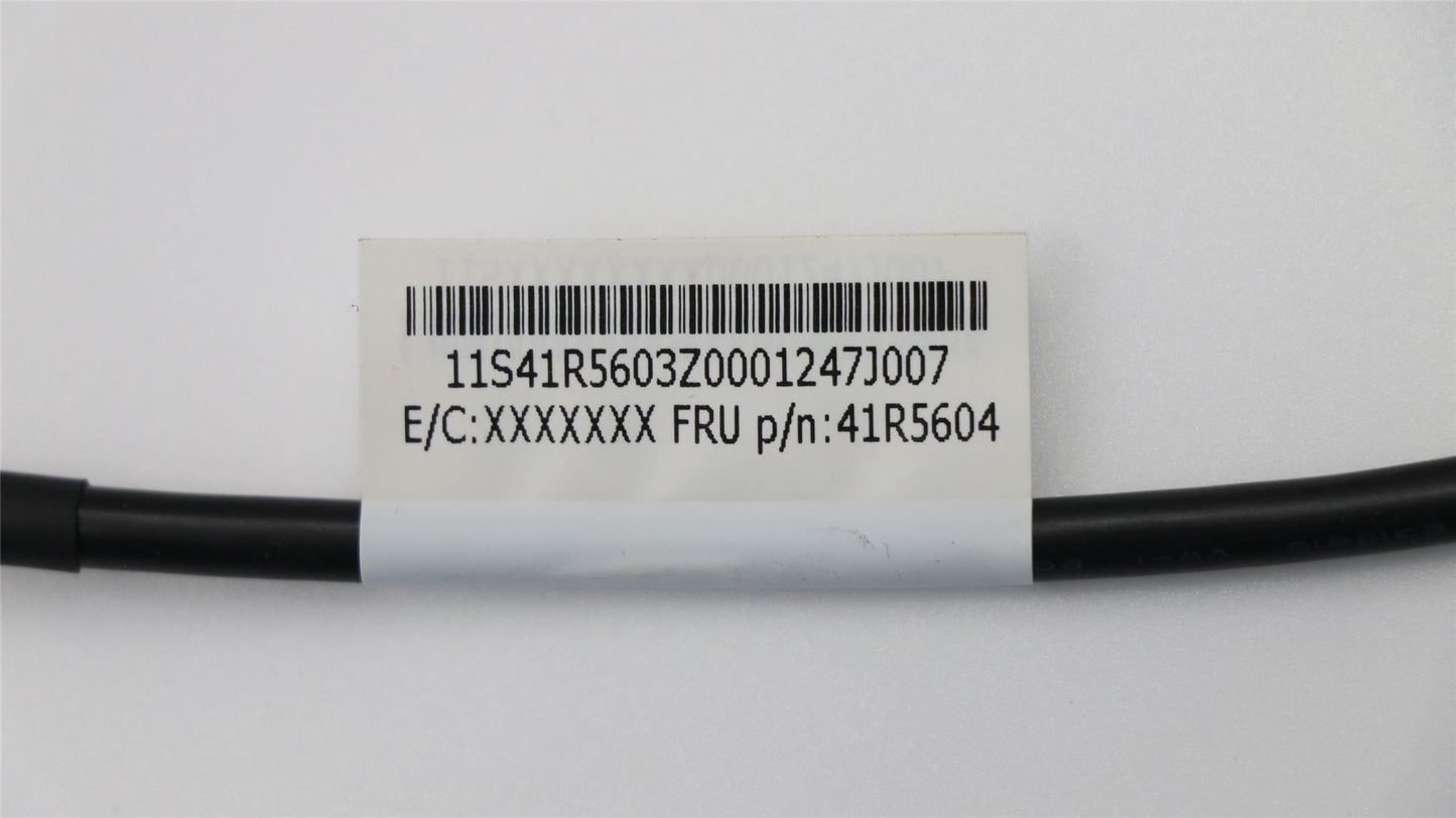 Lenovo PS2 keyboard/mouse card and cable assemb 41R5604
