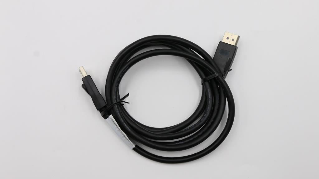Lenovo FRU DisplayPort Cable Kit 03X6405