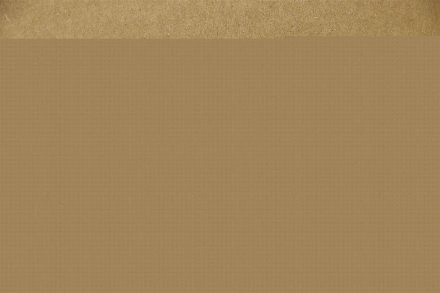 Lenovo IdeaPad Z500 Scharnier Scharniere Halterung Halterungen 90202136