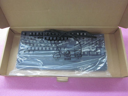 Lenovo KB-US US English Keyboard 03X8001