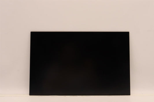 Lenovo FRU 16 16:10 2.5k IPS Color CS 5D11H71488