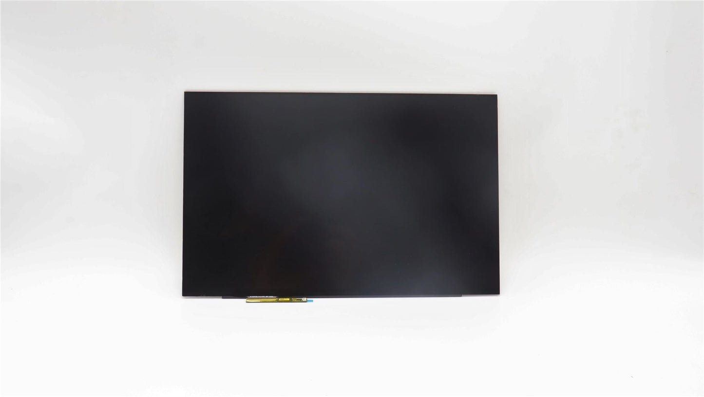Lenovo LCD Module L 83AY 5D10S39934