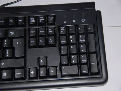 Lenovo Sunrex LXH-JME7053(LAS) PS/2 Latin American Spanish Keyboard 25008023