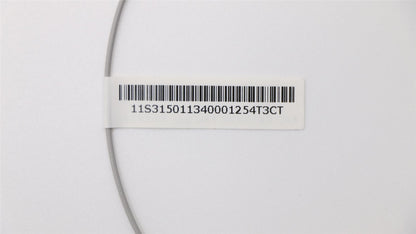 Lenovo LS 400mm Antenna_Gray_Roatan 31501134