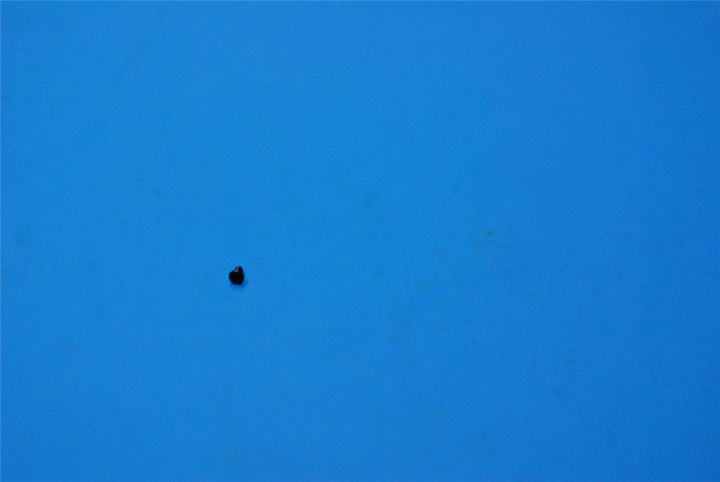 Lenovo Headset Screw&*46100025;1.4_2.5 CS 5M89A33423