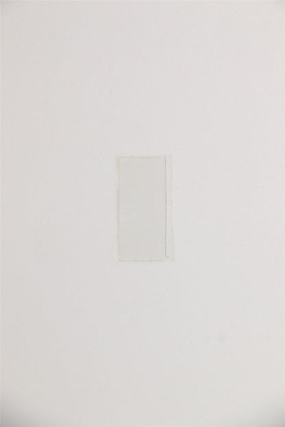 Lenovo Wlan Mylar C 81QA 5T10S33036