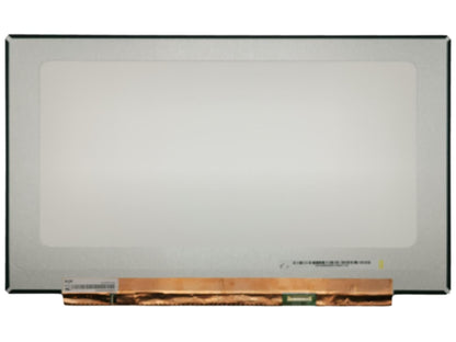 Acer Predator Helios PH317-54 LCD Screen Display Panel KL.1730E.005