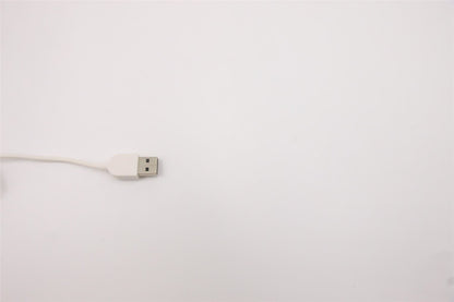 Lenovo USB G2 WHT_US 5D50U84482