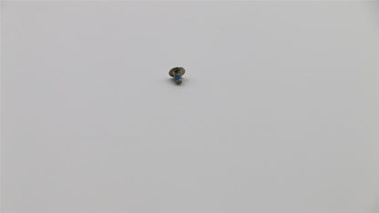 Lenovo SCREW Screw L Y70017ISK 1.98D 5S10K37639