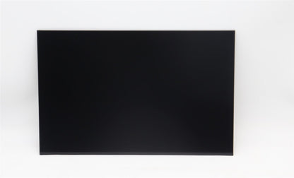 Lenovo ThinkPad P16 Gen 2 LCD Screen Display Panel 16 WQXGA IPS 5D11C95915