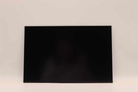 Lenovo ThinkPad P14s 3 P14s 4 T14 4 T14 3 LCD Screen Display Panel 5D11J52876