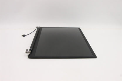 Lenovo ThinkPad X1 9th Gen LCD Screen Display Panel 14 WUXGA IPS 5M11C53217