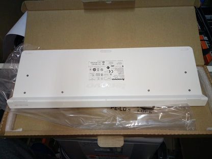 Lenovo US English Indian Keyboard 25214277
