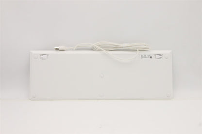 Lenovo USB G2 WHT_JP 5D50U84487