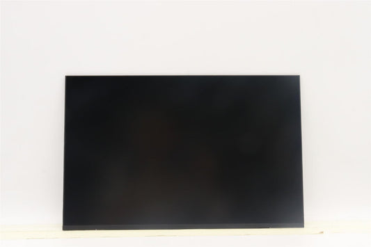 Lenovo ThinkPad T14s 4 P14s 4 P14s 3 T14s 3 LCD Screen Display Panel 5D10V82394