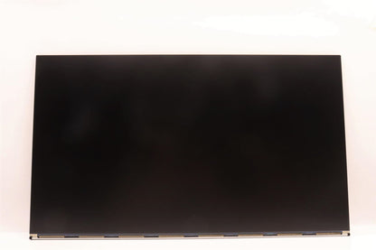 Lenovo ThinkCentre M90a Gen 3 LCD Screen Display Panel 23.8 QHD 5D11H42659
