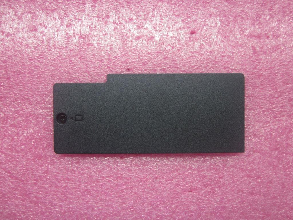 Lenovo FRU,Mini Door,w/Screw,14W 04X1066