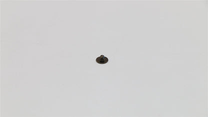 Lenovo 5S10G99212 SCREW Screw 2.0D 2.0L K 5.5D 0.5T BNI